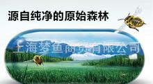 蜂產(chǎn)品代理圖片 視覺營銷的關鍵與代理代辦服務解析